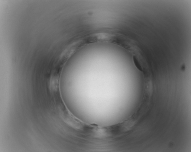X0000114400419200910161101