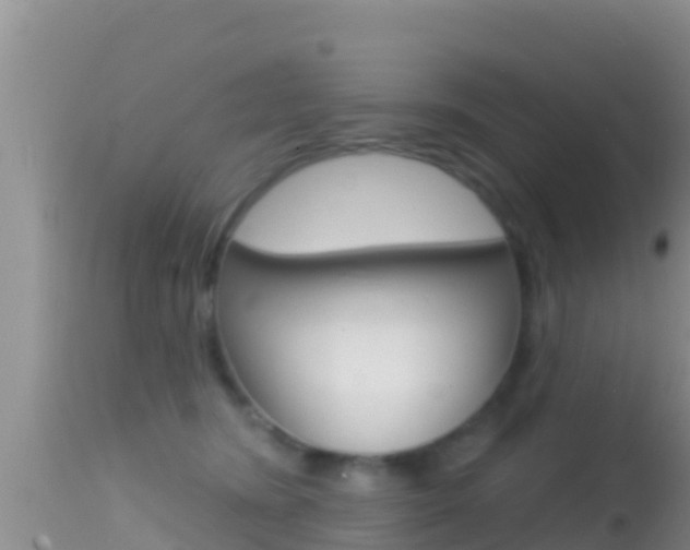 X0000114400420200910161101