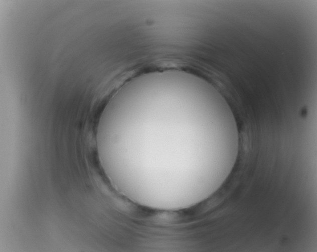 X0000114400422200910161101