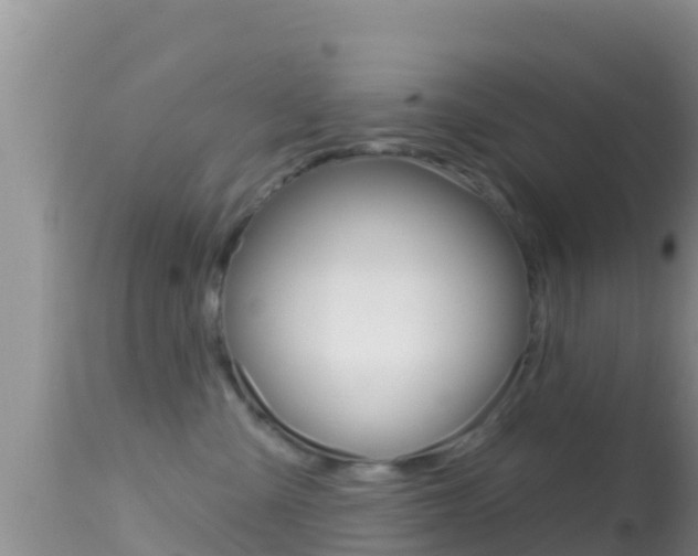 X0000114400427200910161101