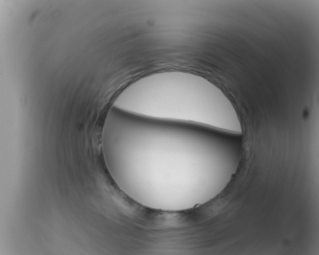 X0000114400428200910161100