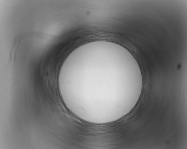 X0000114400429200910161100