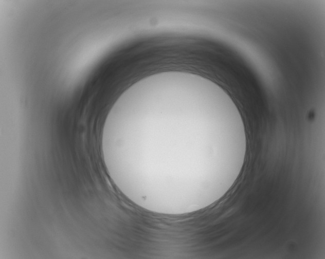 X0000114400431200910161100