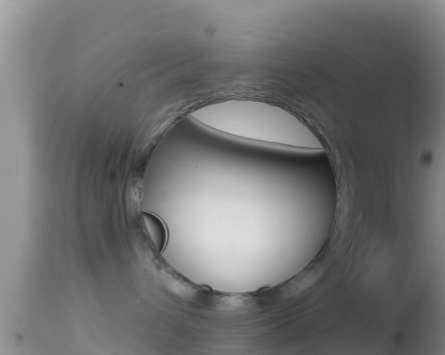 X0000114400432200910161100