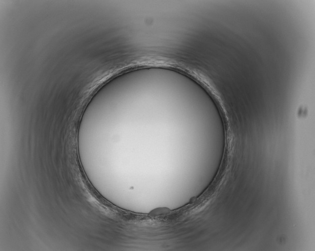 X0000114400433200910161059