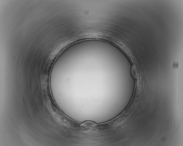 X0000114400434200910161059