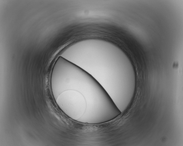 X0000114400435200910161059
