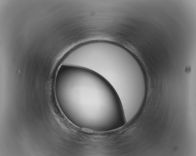 X0000114400436200910161059