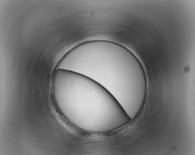 X0000114400437200910161100