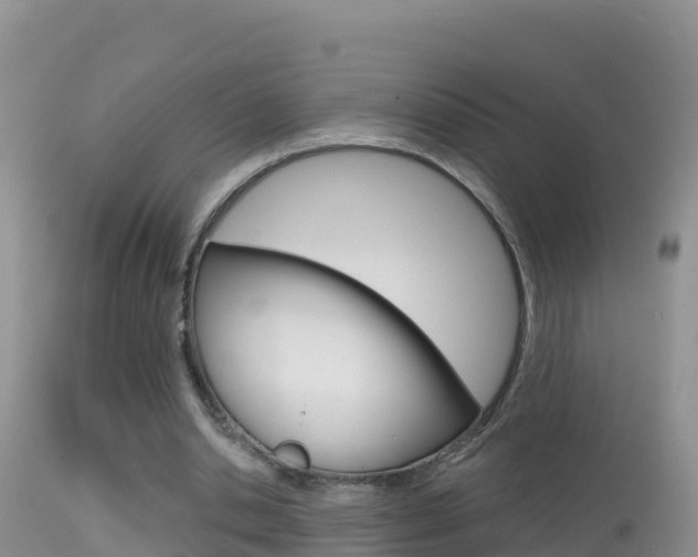 X0000114400438200910161100