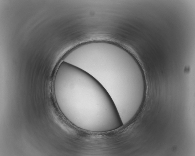 X0000114400439200910161100