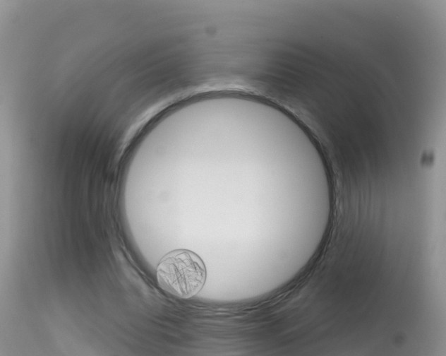X0000114400440200910161100