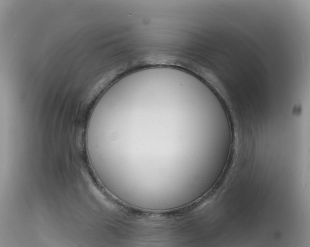 X0000114400441200910161100