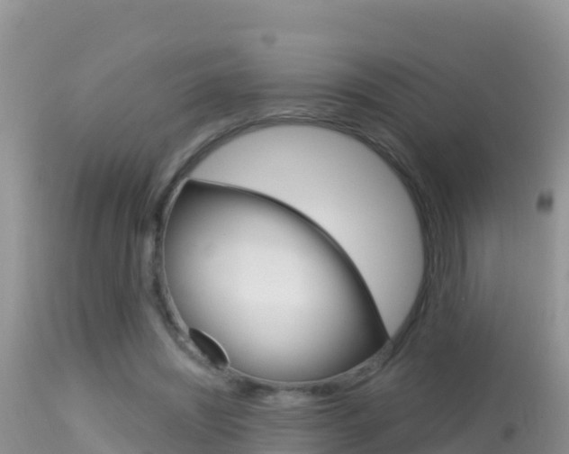 X0000114400444200910161100