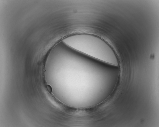 X0000114400445200910161100