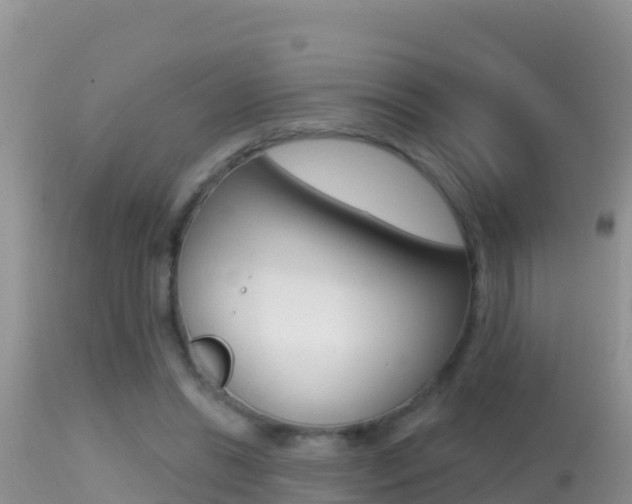 X0000114400446200910161100