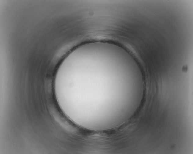 X0000114400447200910161100