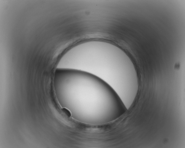 X0000114400448200910161100