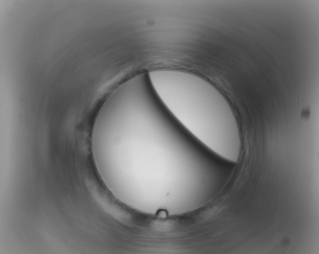 X0000114400450200910161100
