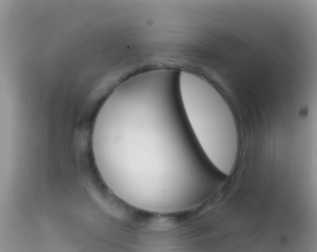 X0000114400451200910161100