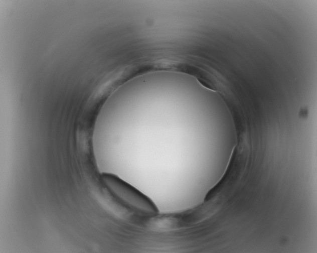 X0000114400452200910161100