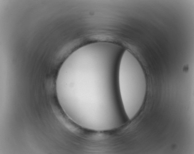 X0000114400453200910161100