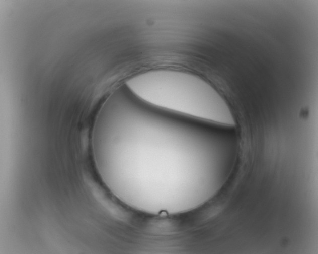 X0000114400454200910161100