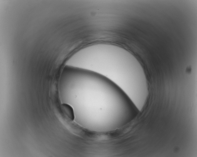 X0000114400456200910161100