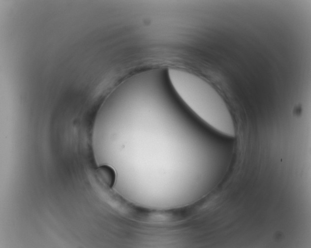 X0000114400457200910161100