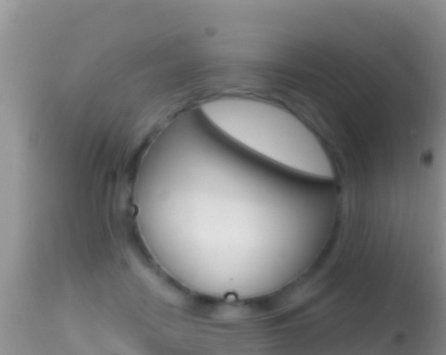 X0000114400458200910161100