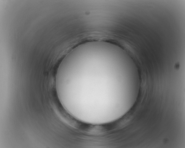 X0000114400459200910161100