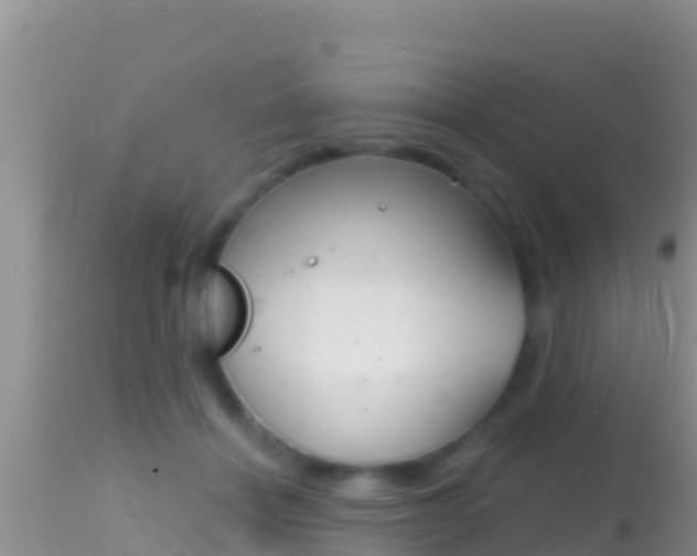 X0000114400460200910161100