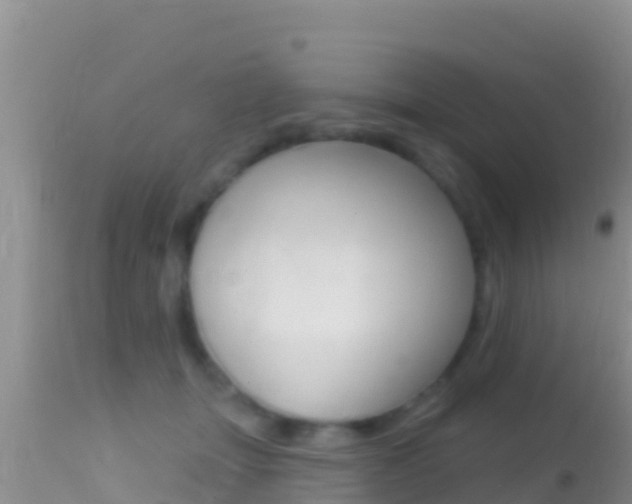X0000114400463200910161100