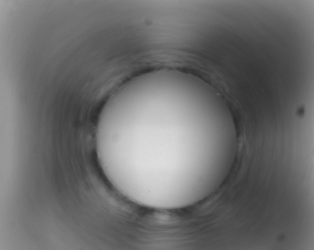 X0000114400464200910161100