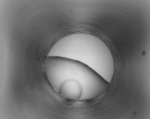 X0000114400465200910161100