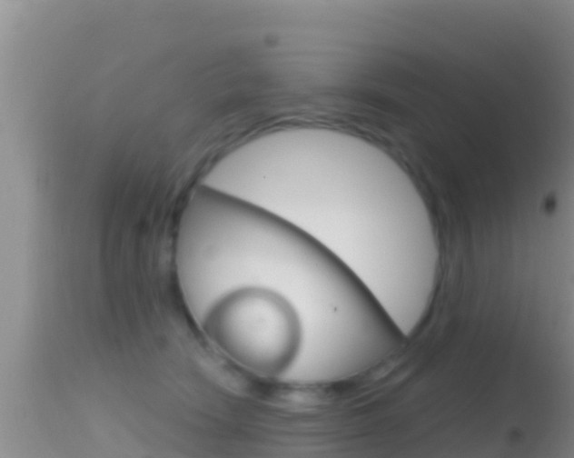 X0000114400466200910161100