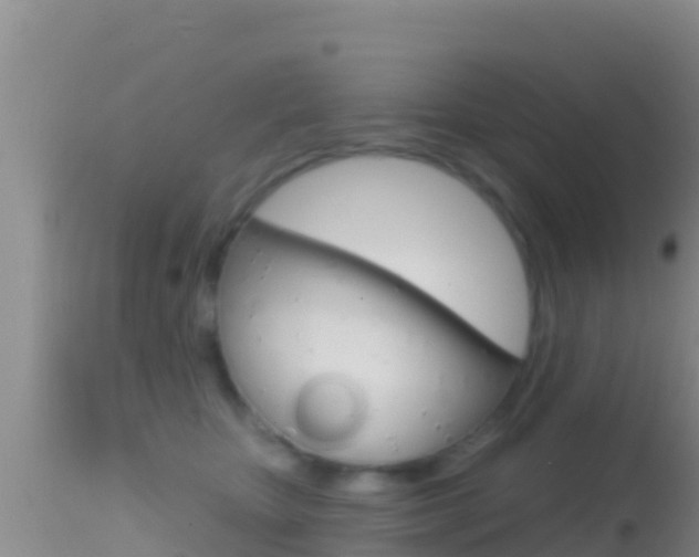 X0000114400467200910161100