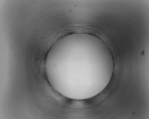 X0000114400469200910161100