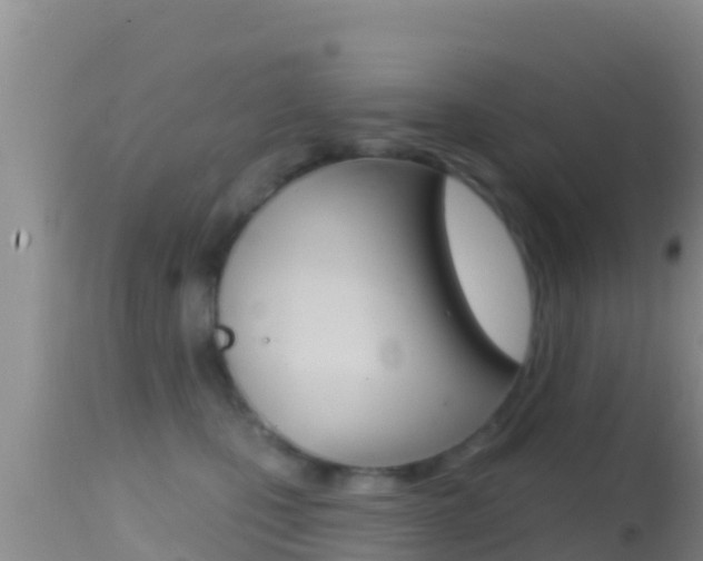 X0000114400471200910161100