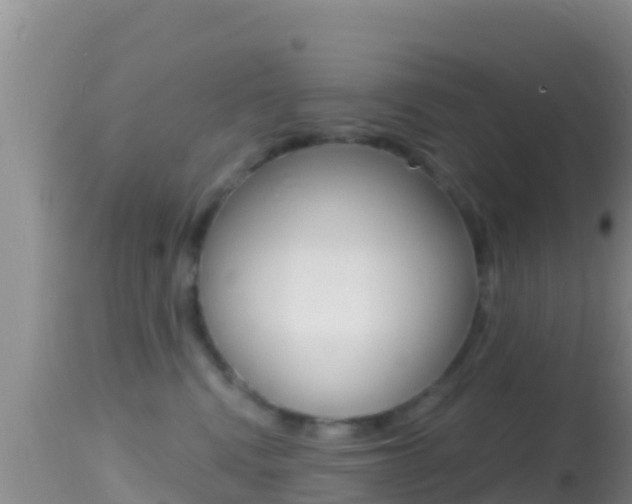 X0000114400472200910161100