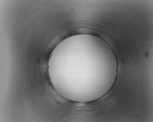 X0000114400473200910161100