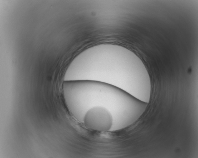 X0000114400475200910161100
