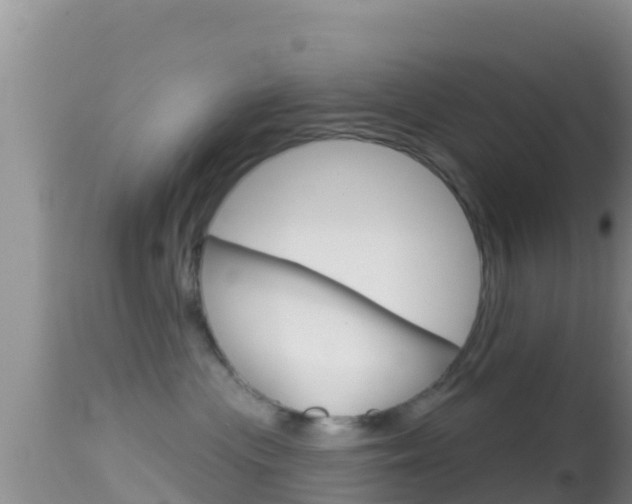 X0000114400477200910161100