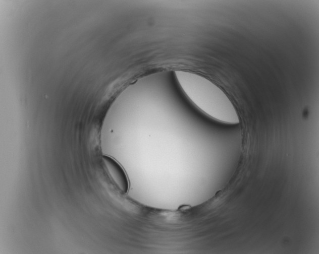 X0000114400478200910161100