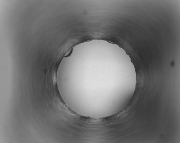 X0000114400479200910161100