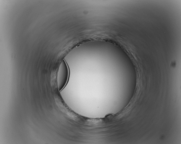 X0000114400480200910161100