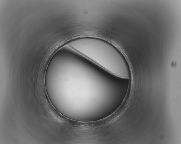 X0000114400481200910161059