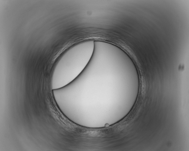 X0000114400482200910161059