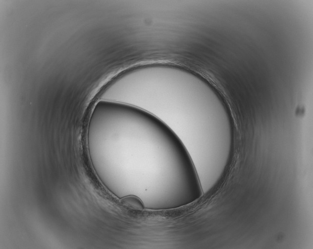 X0000114400483200910161059
