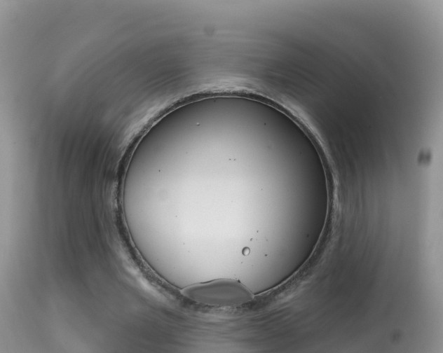 X0000114400485200910161059